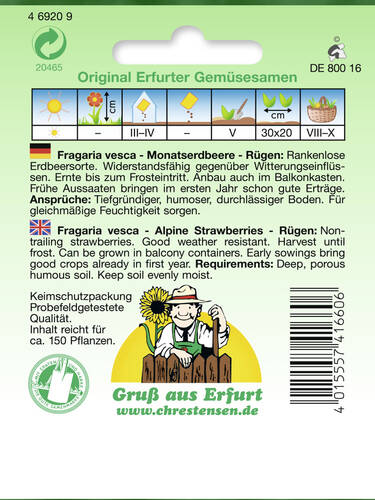 erstes zustzliches Bild des Artikels "Monatserdbeere Rgen" aus der Kategorie "Samen"