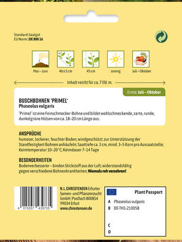 Erstes Zusatzbild des Artikels "Buschbohne Primel" (Bildbeschreibung ist in Arbeit