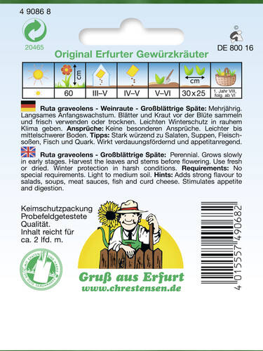 erstes zustzliches Bild des Artikels "Weinraute, Groblttrige Spte" aus der Kategorie "Samen"