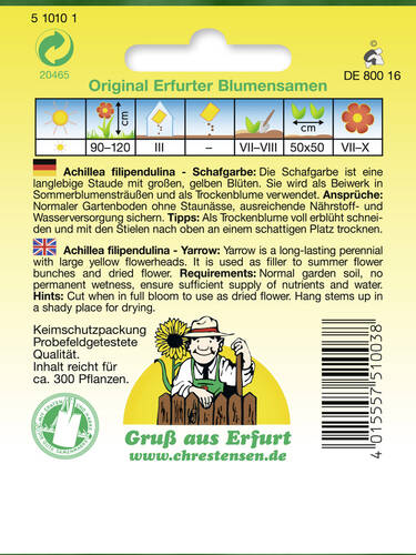 erstes zustzliches Bild des Artikels "Schafgarbe" aus der Kategorie "Samen"