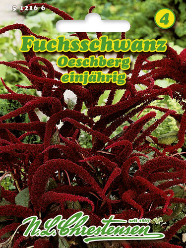 Garten Fuchsschwanz Opopepo Amaranthus Hybridus 100 Samen Amazon De Garten