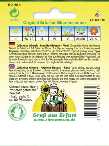 erstes zustzliches Bild des Artikels "Pyramidale Harzaster Rienzi" aus der Kategorie "Samen"