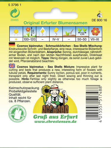 erstes zustzliches Bild des Artikels "Schmuckkrbchen Sea Shells Mischung" aus der Kategorie "Samen"