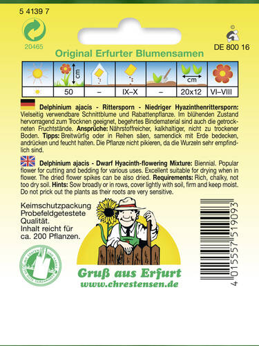 Niedriger Hyazinthenrittersporn-Mischung Bild 2