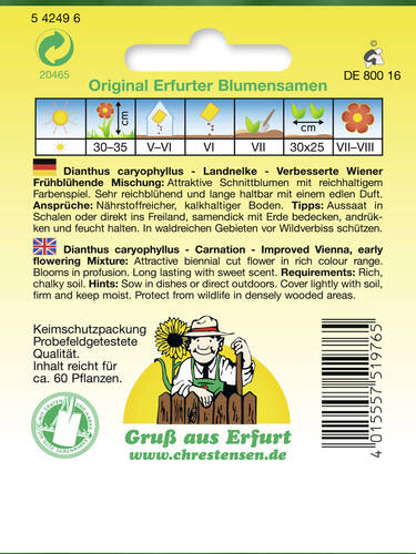 Samen - Gefllte Landnelke Verbesserte Wiener Frhblhende Mischung Bild 2