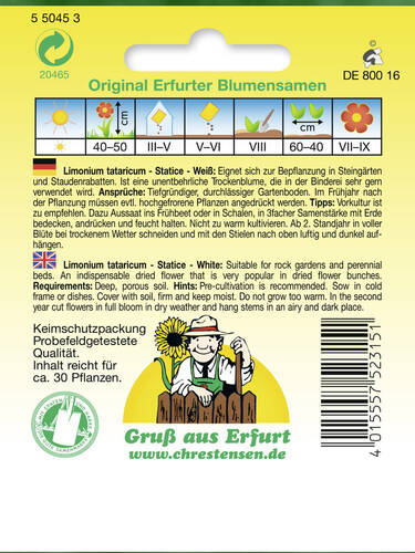 erstes zustzliches Bild des Artikels "Statice Strandflieder wei"