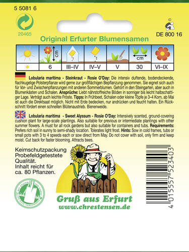 erstes zustzliches Bild des Artikels "Steinkraut Rosi O'Day" aus der Kategorie "Samen"