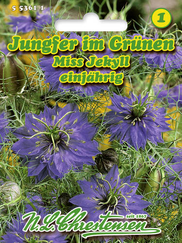 Jungfer Im Grunen Miss Jekyll Samen Fur Einjahrige Blumen Gartenversandhaus De