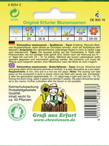 erstes zustzliches Bild des Artikels "Spaltblume Topsi" aus der Kategorie "Samen"
