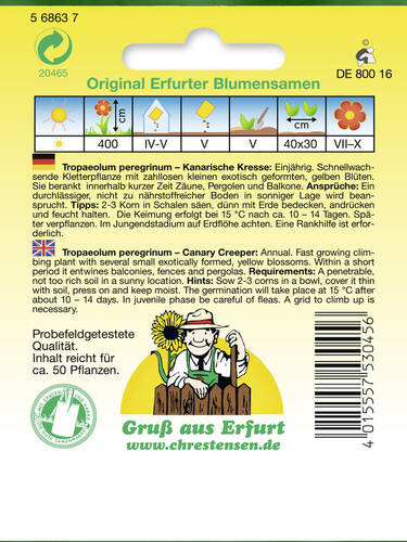 erstes zustzliches Bild des Artikels "Kanarische Kresse" aus der Kategorie "Samen"