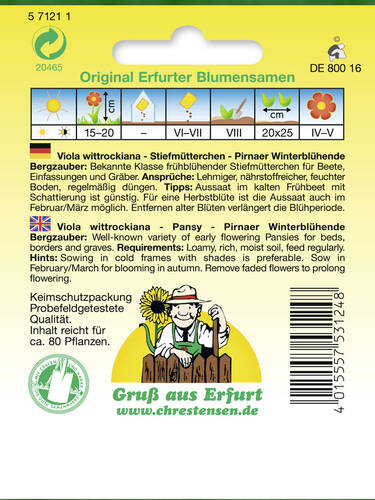 erstes zustzliches Bild des Artikels "Stiefmtterchen Pirnaer Winterblhende Bergzauber" aus der Kategorie "Samen"