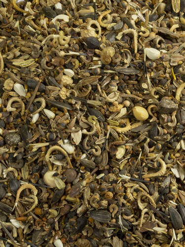 zweites zustzliches Bild des Artikels "Ntzlingswelt - Blumensamen 5L Eimer" aus der Kategorie "Samen"