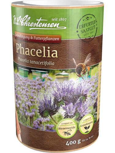 Samen - Phacelia 400g Dose Bild 2