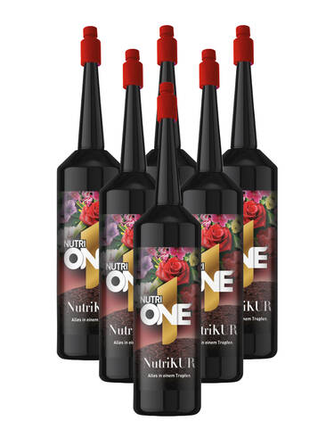 Erstes Zusatzbild des Artikels "NutriOne-NutriKUR" (Bildbeschreibung ist in Arbeit