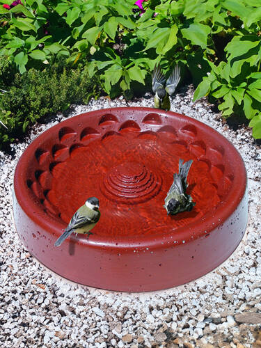 zweites zustzliches Bild des Artikels "Vogel- und Insektentrnke"