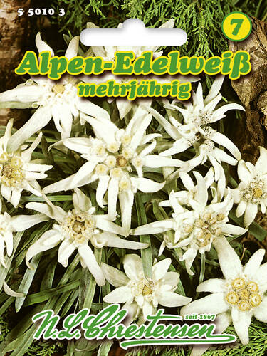 Hauptbild des Artikels "Alpen-Edelwei" aus der Kategorie "Samen"