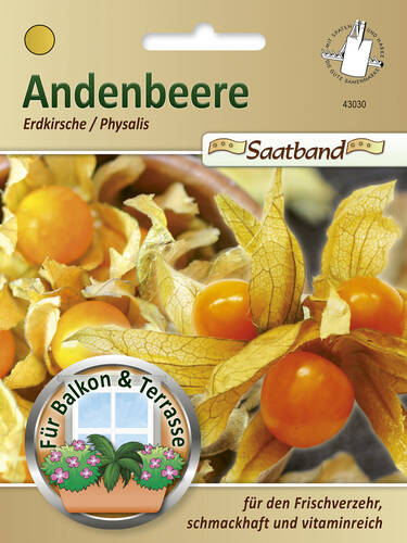 Hauptbild des Artikels "Andenbeere/Erdkirsche/Physalis" aus der Kategorie "Samen"