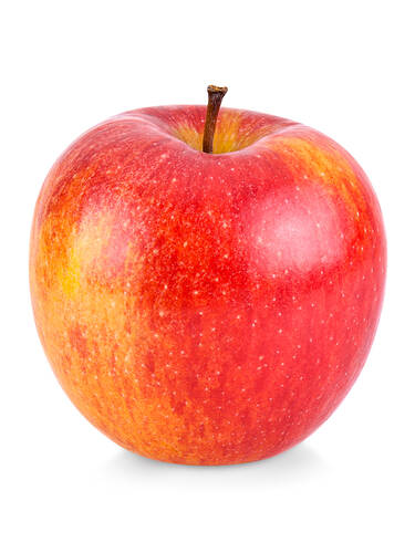 Hauptbild des Artikels "Apfel Gala" aus der Kategorie "Apfelbaum"