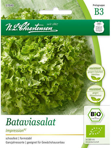 Hauptbild des Artikels "BIO-Bataviasalat Impression RZ" aus der Kategorie "Salatsamen"