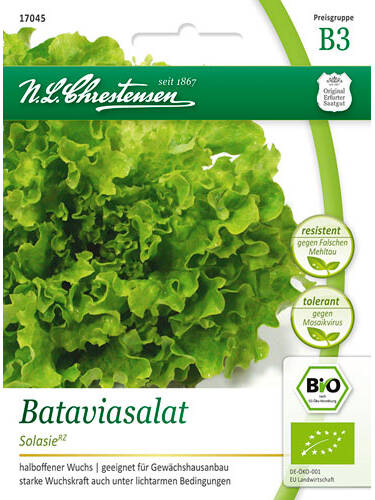 Bio Samen - BIO-Bataviasalat Solasie