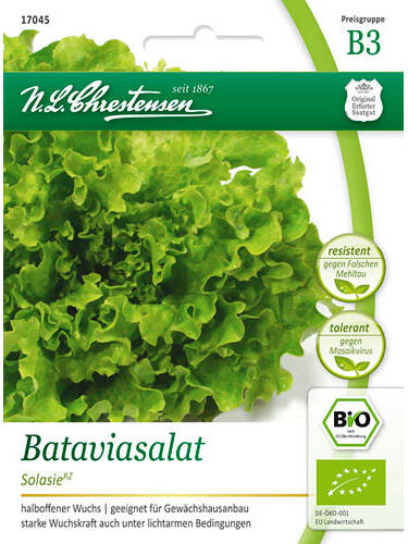Hauptbild des Artikels "BIO-Bataviasalat Solasie" aus der Kategorie "Bio Samen"