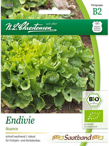 Hauptbild des Artikels "BIO-Endivie Nuance" aus der Kategorie "Salatsamen"