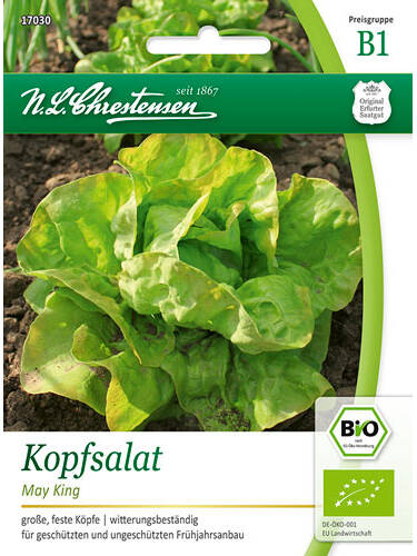 Samen - BIO-Kopfsalat May King