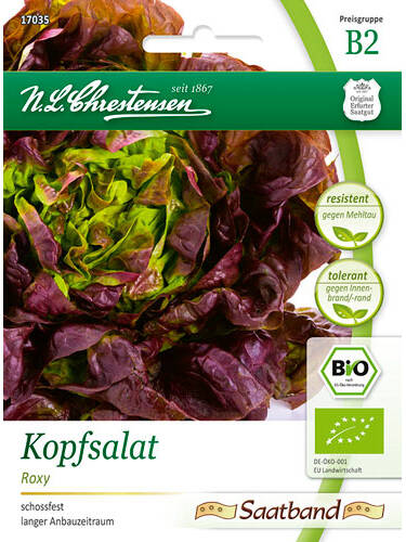 BIO-Kopfsalat Roxy