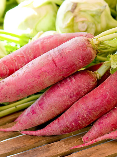 Hauptbild des Artikels "BIO-Rettich Ostergru rosa 2"