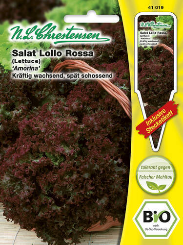 Bio Samen - BIO-Salat Lollo Rossa Amorina