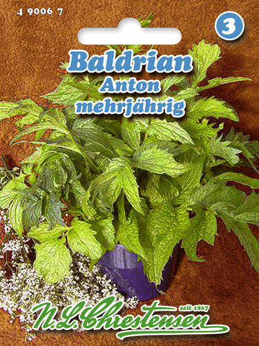 Hauptbild des Artikels "Baldrian Anton" aus der Kategorie "Samen"