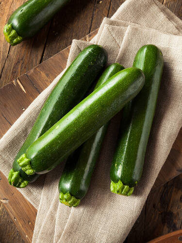 Hauptbild des Artikels "Balkon-Zucchini" aus der Kategorie "Zucchini Pflanzen"