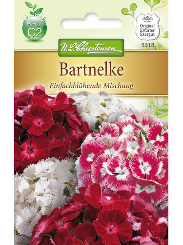 Hauptbild des Artikels "Bartnelke Einfachblhende Mischung"