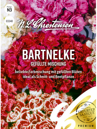 Samen - Bartnelke Gefllte Mischung