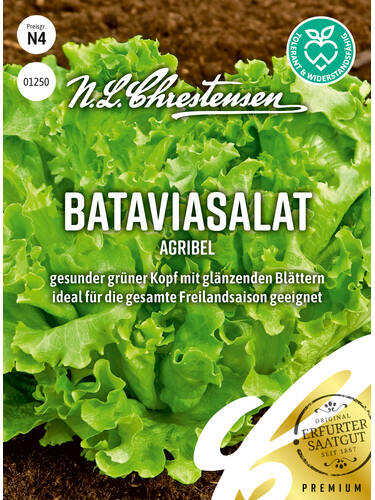 Bataviasalat Agribel