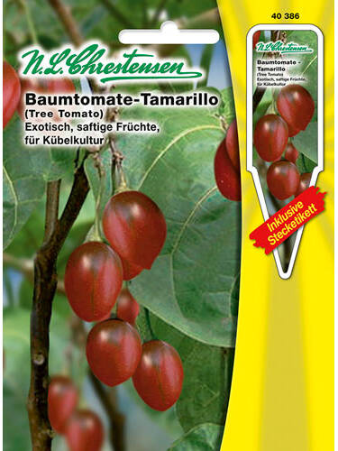 Tomatensamen - Baumtomate Tamarillo