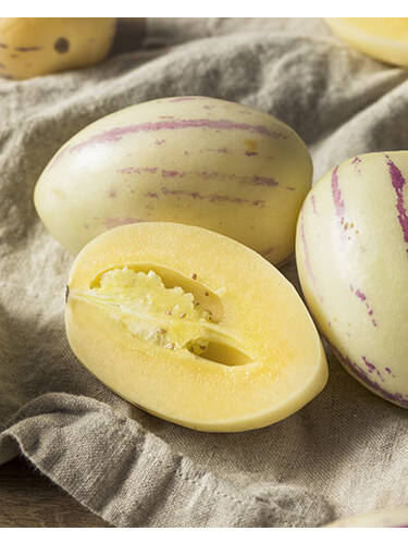 Hauptbild des Artikels "Birnenmelone Pepino"