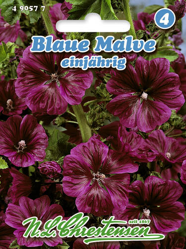 Hauptbild des Artikels "Blaue Malve" aus der Kategorie "Samen"