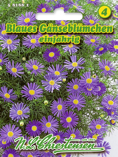 Hauptbild des Artikels "Blaues Gnseblmchen" aus der Kategorie "Samen"
