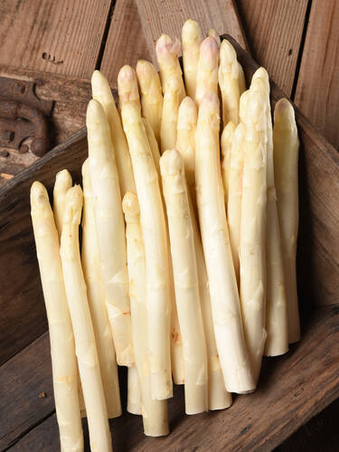 Hauptbild des Artikels "Bleichspargel Ravel, F1" (Bildbeschreibung ist in Arbeit)