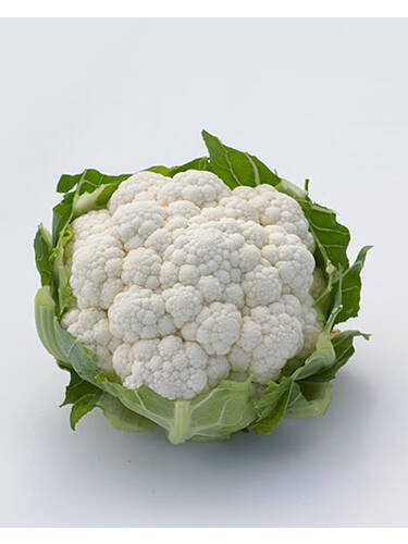 Hauptbild des Artikels "Blumenkohl Andromeda, F1"