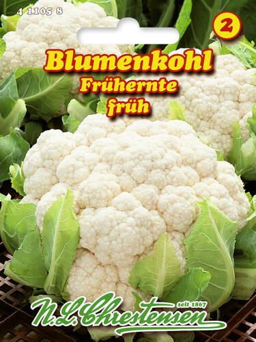 Hauptbild des Artikels "Blumenkohl Frhernte" aus der Kategorie "Kohlsamen"