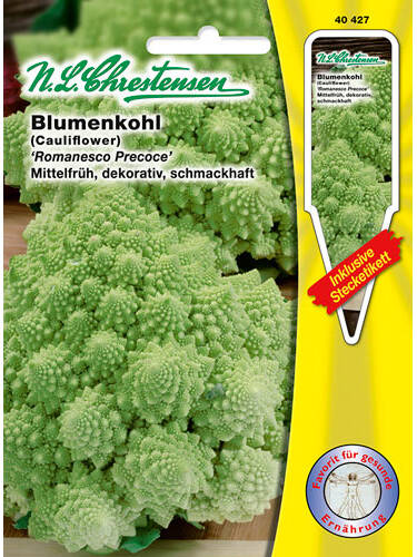 Hauptbild des Artikels "Blumenkohl Romanesco Precoce" aus der Kategorie "Kohlsamen"