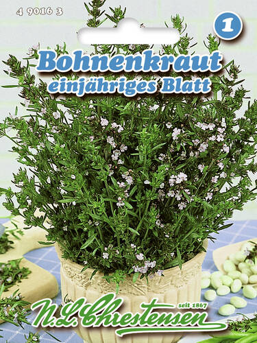 Bohnenkraut Einjhriges Blatt