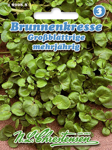 Brunnenkresse Groblttrige