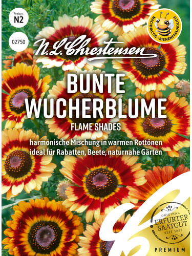 Samen - Bunte Wucherblume Flame Shades