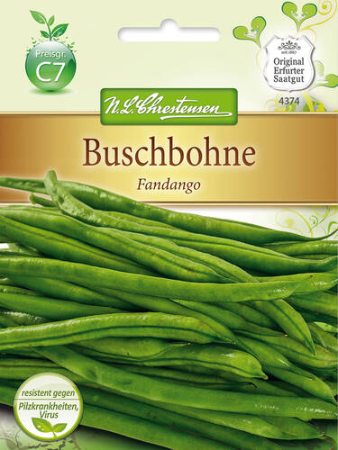 Buschbohne Fandango