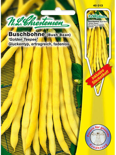 Hauptbild des Artikels "Buschbohne Golden Teepee"