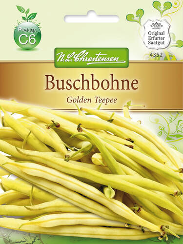 Buschbohne Golden Teepee