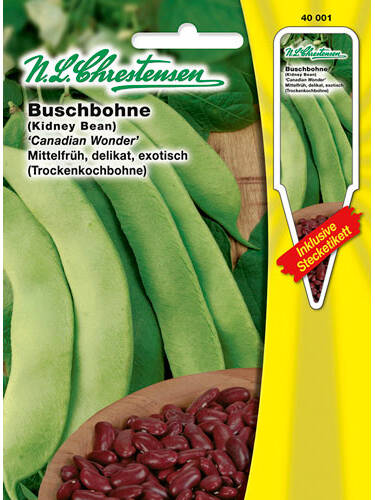 Buschbohne (Kidney Bean) Canadian Wonder